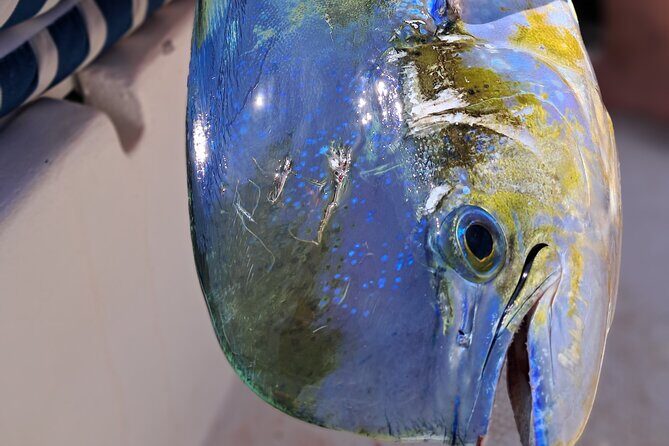 4 Hour Costa Maya Fishing and Snorkeling Experience - Why This Tour Is Worth Considering