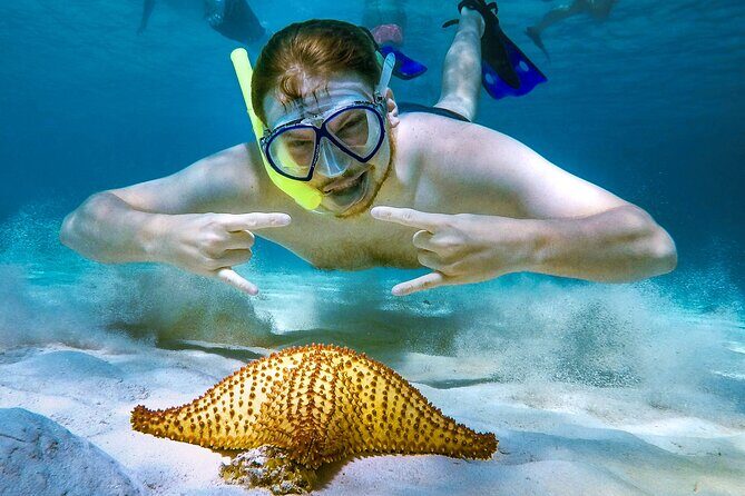 4 Hour Cozumel Reefs Snorkeling - Why Choose the 4 Hour Cozumel Reefs Snorkeling Tour?