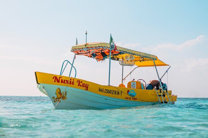 4 Hour Cozumel Reefs Snorkeling - The Value for Money