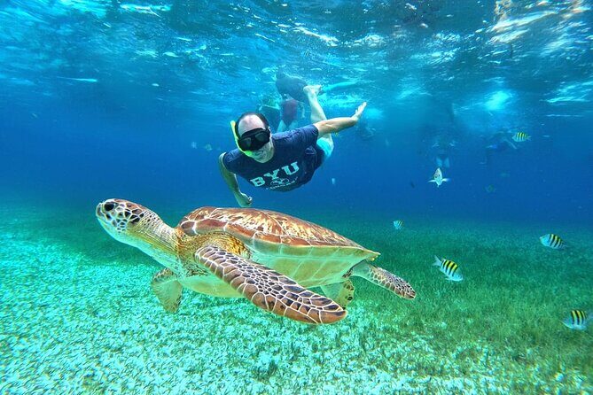4 Hour Cozumel Turtle Sanctuary Experience on a Luxury Catamarán - A Closer Look at the Cozumel Turtle Sanctuary Catamaran Tour