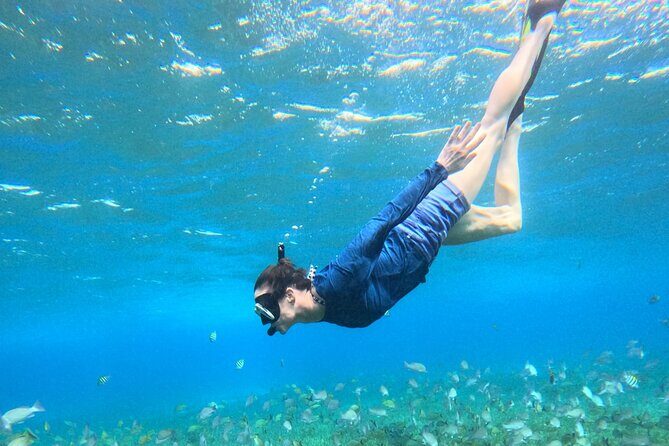 4 Hour Cozumel Turtle Sanctuary Experience on a Luxury Catamarán - Final Words: Who Should Book This?