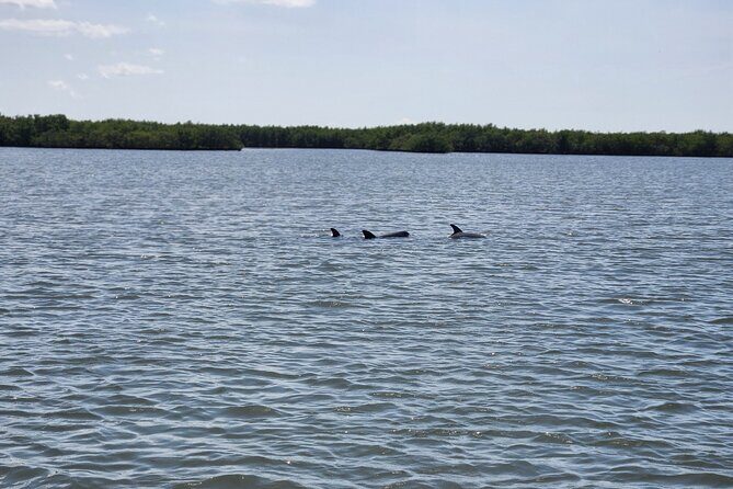 4 Hour Custom Private Boat Charter - Who Will Love This Tour?