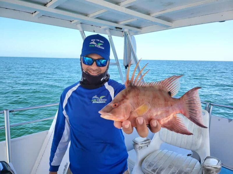 4 Hour Deep Sea Up to 9 Miles - An In-Depth Look at the 4-Hour Deep Sea Fishing Tour