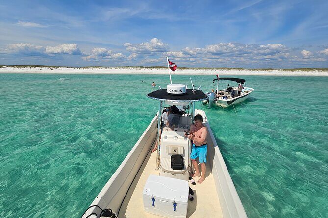4 Hour Eco Dolphin Tour in Panama - Key Points