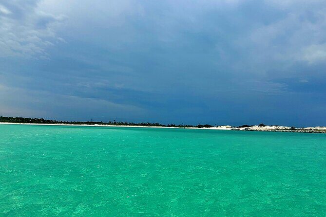 4 Hour Eco Dolphin Tour in Panama - Final Thoughts