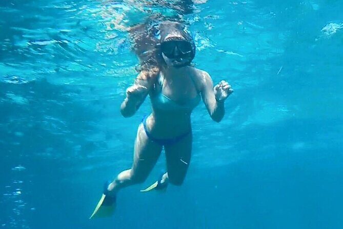 4 Hour Egmont Key Island Tour With Dolphins & Snorkeling Included - Who Will Love This Tour?