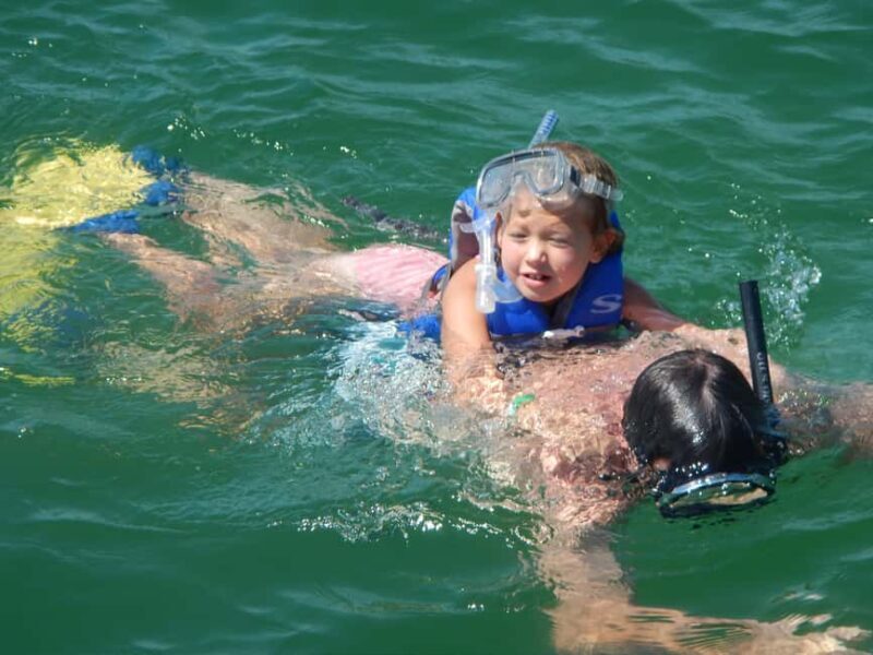 4 Hour Egmont Key Island Tour With Dolphins & Snorkeling - Final Thoughts