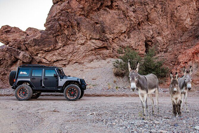 4-Hour Guided Off-Road Adventure to Wild Horses and Old Saloon - Experience the Nevada Desert Like Never Before