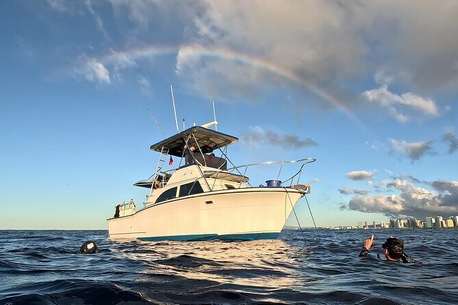 4 Hour Guided Scuba Diving Adventures in Waikiki - Who Should Consider This Tour?