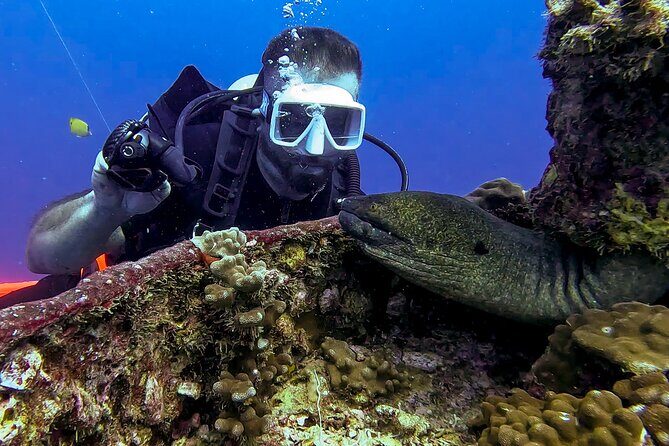 4 Hour Guided Scuba Diving Adventures in Waikiki - The Sum Up