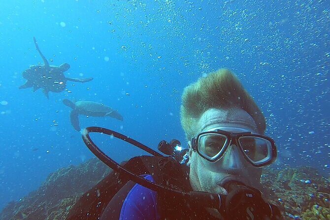 4 Hour Guided Scuba Diving Adventures in Waikiki - Frequently Asked Questions