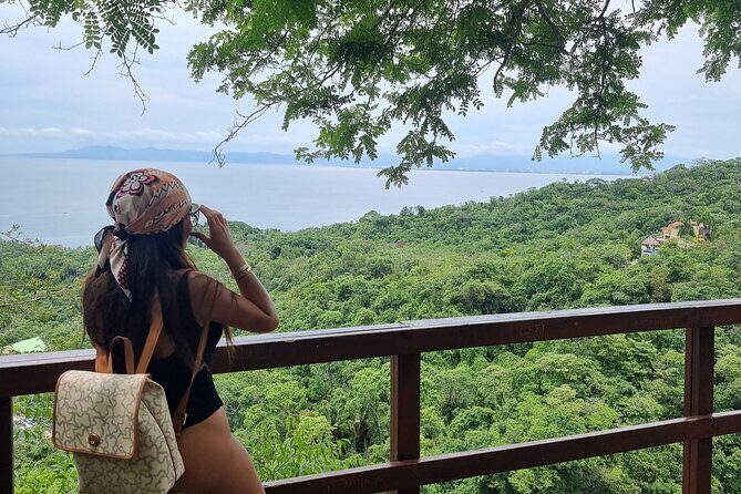 4-Hour Jungle Hike and Waterfall Swim - Authenticity, Value, and Review Highlights