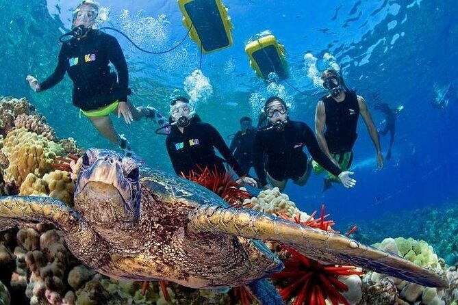 4-Hour Koa Kai Molokini Adventure Snorkel - Introduction to the Koa Kai Snorkel Adventure