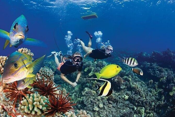 4-Hour Koa Kai Molokini Adventure Snorkel - The Sum Up: Why Choose This Trip?