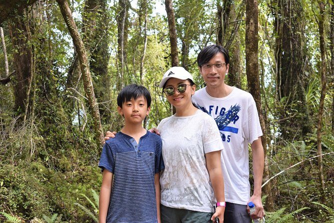 4-hour Lake Mapourika Kayak and Hike adventure, with Okarito Kiwi Sanctuary - The Sum Up