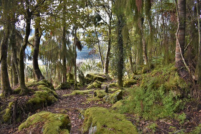 4-hour Lake Mapourika Kayak and Hike adventure, with Okarito Kiwi Sanctuary - FAQ