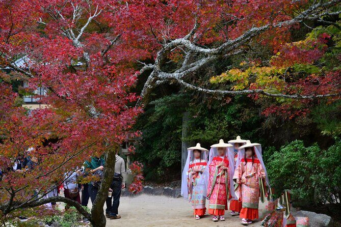 4 Hour Miyajima PRIVATE Tour - Food & Cultural Highlights