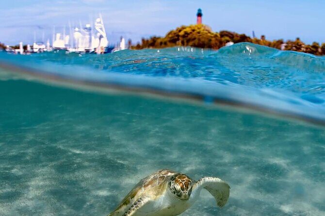 4 Hour Narrated Sightseeing Tours & Sunset Trips: West Palm Beach - Final Thoughts