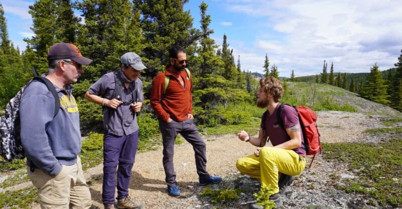 4 Hour Off-Trail Wilderness Wonders Tour in Denali - The Itinerary: What to Expect?