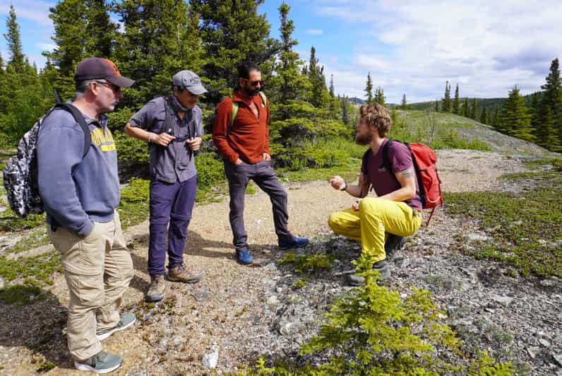 4 Hour Off-Trail Wilderness Wonders Tour in Denali - What Travelers Say