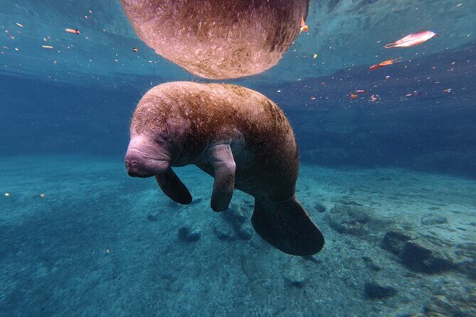 4 Hour Paddle Board Rental - An Honest Look at the 4-Hour Paddle Board Rental