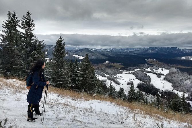 4-Hour Private Alpine Great George at High Wall Mountain from Vienna - Key Points