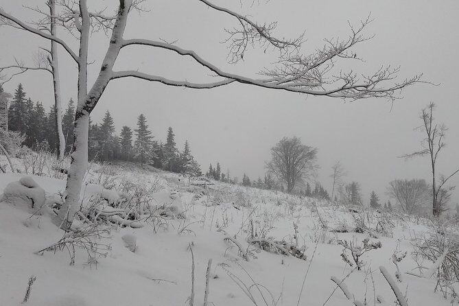 4-Hour Private Alpine Great George at High Wall Mountain from Vienna - FAQ