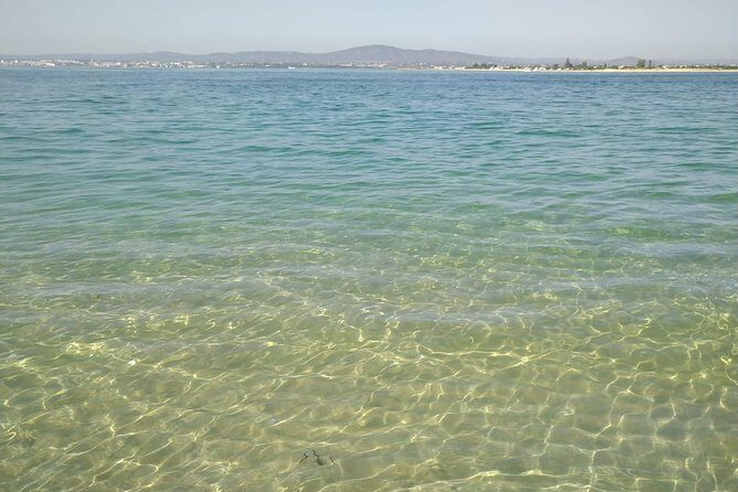 4-Hour Private Boat Tour in Ria Formosa - The Value of This Tour