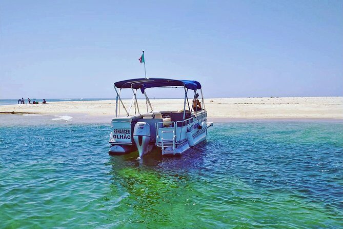 4-Hour Private Boat Tour in Ria Formosa - Final Thoughts