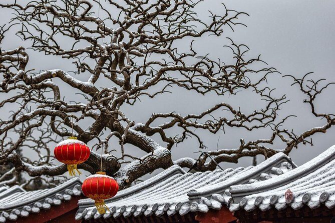 4-Hour Private Forbidden City Walking Tour with Bird's ViewOption - What Makes This Tour a Great Choice?
