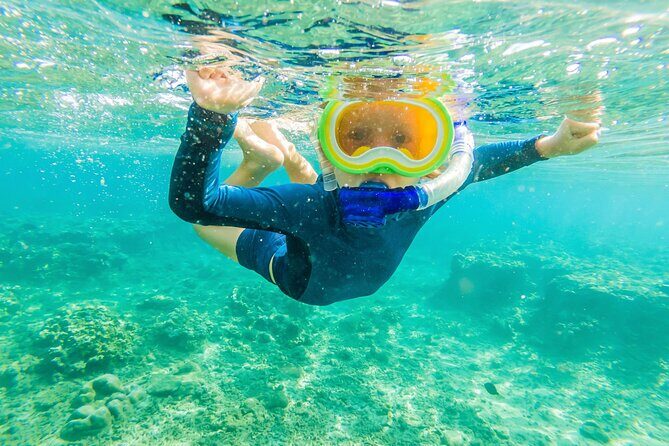 4 Hour Private Snorkeling Tour in Kona - FAQ