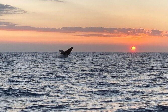 4 Hour Private Sunset Fishing Charter - Final Thoughts