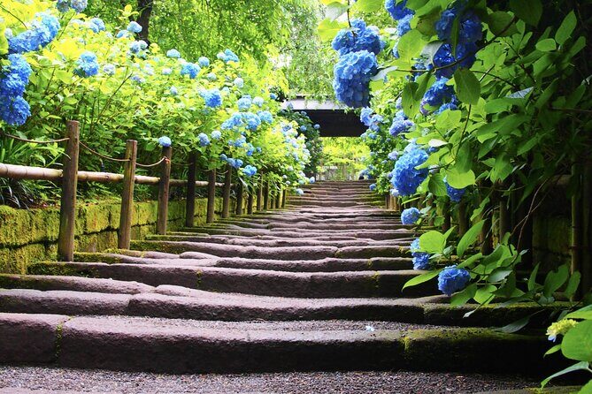 4-hour Private Tour of Kamakura with Government-Licensed Guide - Practical Tips for Making the Most of Your Tour