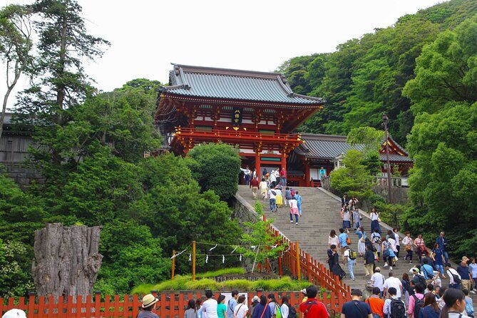 4-hour Private Tour of Kamakura with Government-Licensed Guide - FAQ
