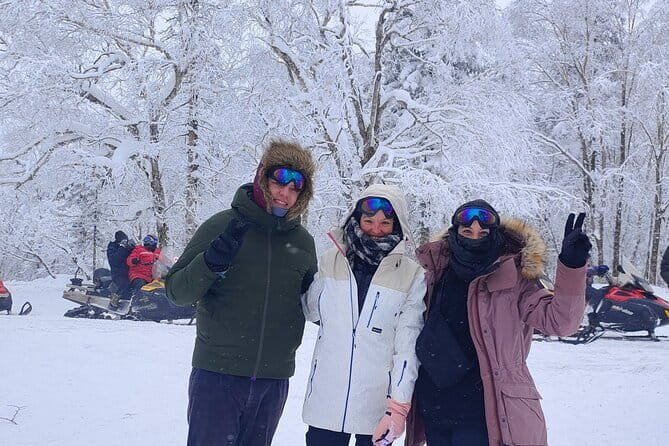 4 Hour Private Transfer to Sun Island Snow Sculptures - Visiting Sun Island Snow Sculptures