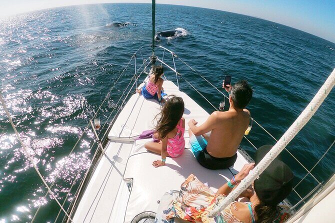4-Hour Private Whale Watching in Puerto Vallarta - Why This Tour Is Worth Considering