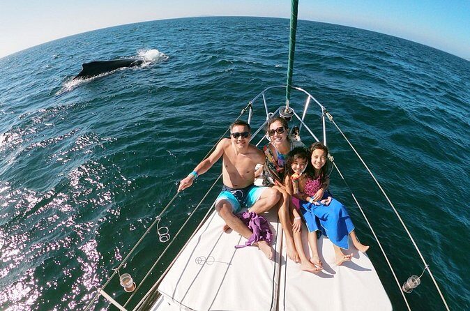 4-Hour Private Whale Watching in Puerto Vallarta - The Sum Up