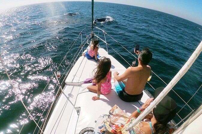 4-Hour Private Whale Watching in Puerto Vallarta - FAQ