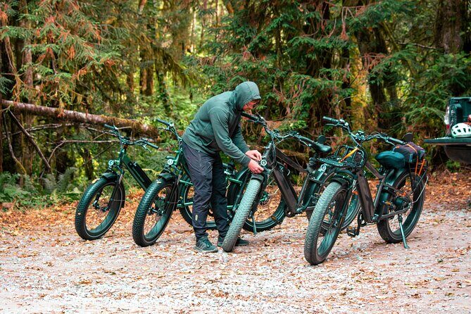 4 Hour Redwood National and State Park E Bike Adventure - Discovering the Redwood Giants: A Detailed Look at the Tour