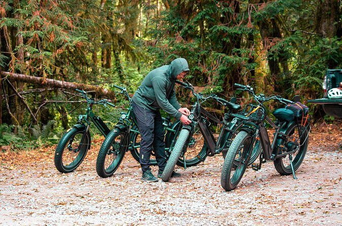 4 Hour Redwood National and State Park E Bike Adventure - Frequently Asked Questions