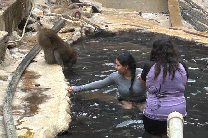 4-hour Snow Monkey Park Tour, From/To Tokyo, 2-12 guests - FAQ