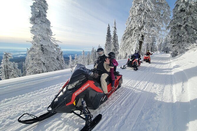 4-Hour Snowmobile Rental in Priest Lake - Introduction: What Makes This Snowmobiling Experience Stand Out?