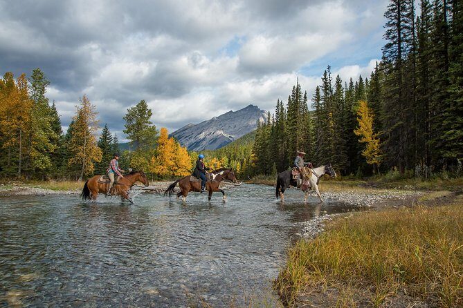 4 Hour Sulphur Mountain Horseback Ride - In The Sum Up