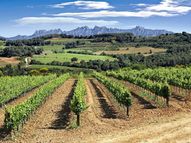 4-Hour Supercar Route to a Catalan Winery from Barcelona - The Itinerary: What You Can Expect