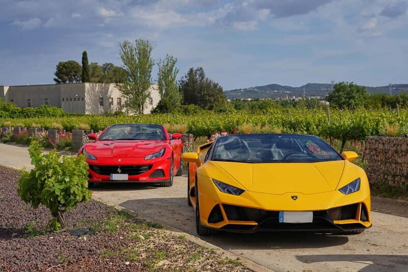 4-Hour Supercar Route to a Catalan Winery from Barcelona - Practical Details and Considerations