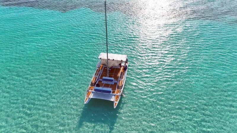 4 Hour Turtle Sanctuary Experience on a Luxury Catamarán - Key Points