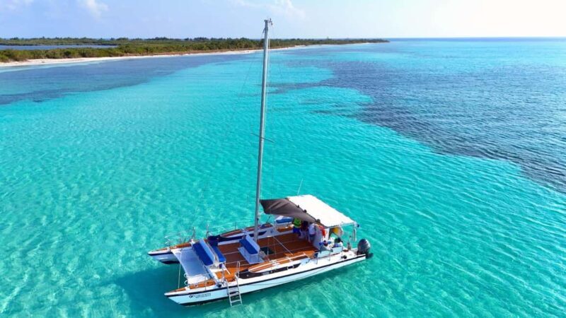 4 Hour Turtle Sanctuary Experience on a Luxury Catamarán - The Experience in Detail