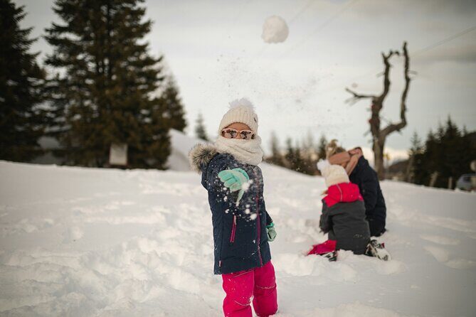 4 hour Vegas Winter Adventure: Mt. Charleston Snow Day - Key Points