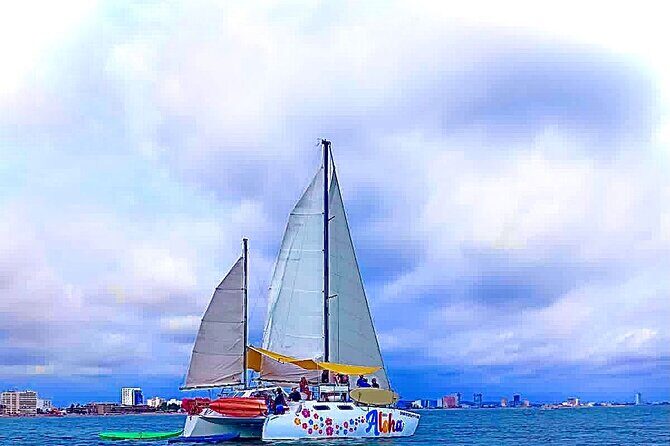 4-hour whale watching in magical Mazatlan - Key Points