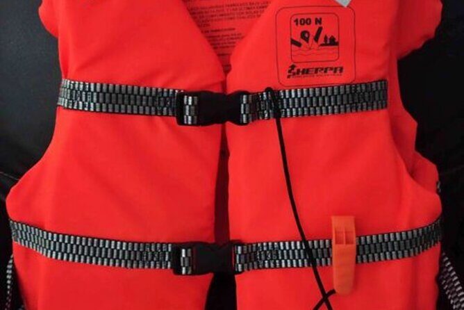 4-hour whale watching in magical Mazatlan - An In-Depth Look at the 4-Hour Mazatlan Whale Watching Cruise